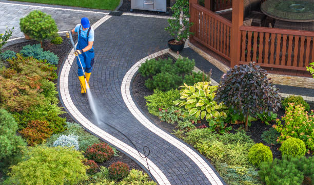 Best Local Pressure Washing Services  in Elkhorn, WI